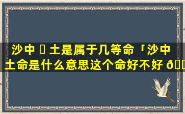 沙中 ☘ 土是属于几等命「沙中土命是什么意思这个命好不好 🐯 」